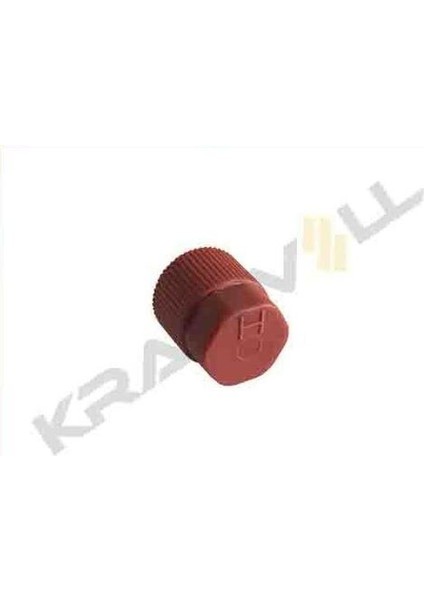 19013039 Subap Kapağı Mavi M10X1.25 Alcak Basınç (5ADET)