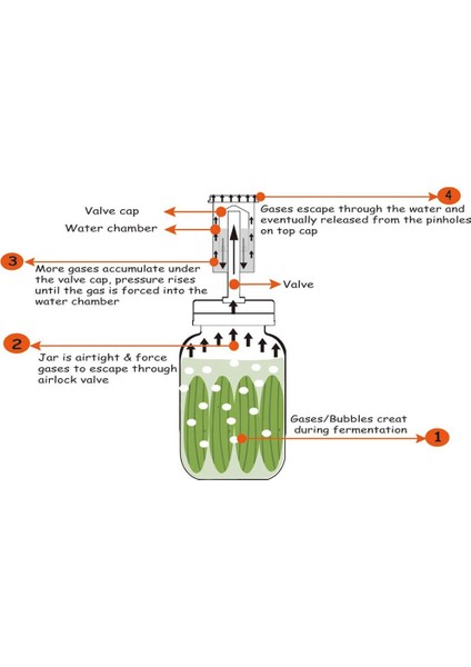 87 mm Tarzı Geniş Ağızlı Kavanoz Seti Fermantasyon Kapaklı ve Hava Kilidi Ev Mutfak Gereçleri JS22 (Yurt Dışından) indirimleri
