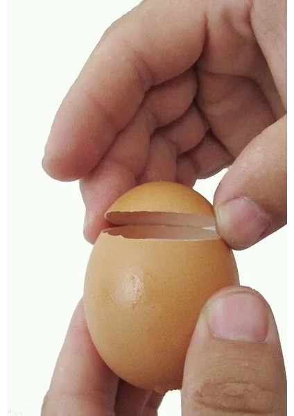1 Adet Yeni Mutfak Alet Paslanmaz Çelik Yumurta Kabuğu Topper Kesici Haşlanmış Yumurta Ocak Açacağı Pişirme Araçları Pişirme Aksesuarları (Yurt Dışından) fırsatları
