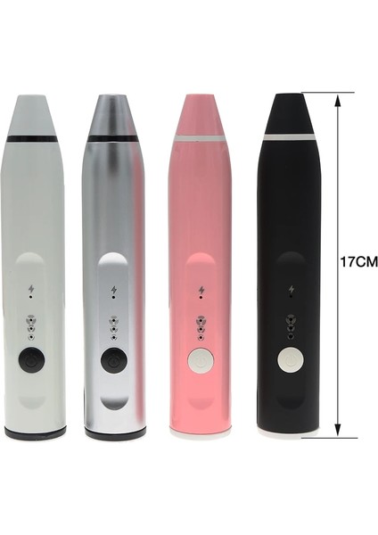 Pembe Tarzı USB Ayarlanabilir Hız Süt Köpürtücü Otomatik El Köpük Kahve Makinesi Sıkacağı Cappuccino Taşınabilir Mutfak Blender (Yurt Dışından)