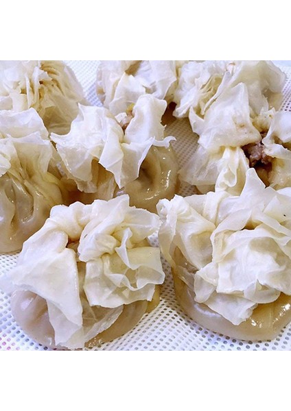 20CM Tarzı Et Yeniden Kullanılabilir Mutfak Silikon Vapur Örgü Yapışmaz Ped Yuvarlak Şekil Köfte Mat Buhar Çörekler Pişirme Pasta Dim Sum Mesh (Yurt Dışından) fırsatları