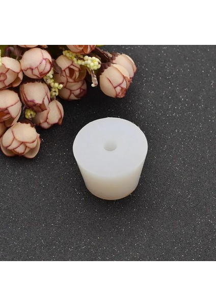 Delik Stili ile Boyut 8 1pchome Brew Şarap Tıpalar Hava Kilidi Vana Bubbler Fermantasyon Egzoz Vanası Silikon Kauçuk Fiş Için 8mm Delikli Silikon Fiş (Yurt Dışından)