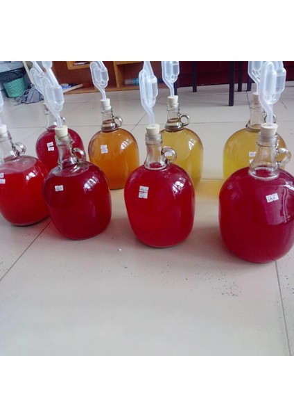 J Tarzı 2020 Silikon Fermenter Kapak Tapaları Hava Kilidi Valfi Brew Şarap Kauçuk Fermantasyon Kapakları Fermantasyon Malzemeleri Için 8mm Delikli (Yurt Dışından)