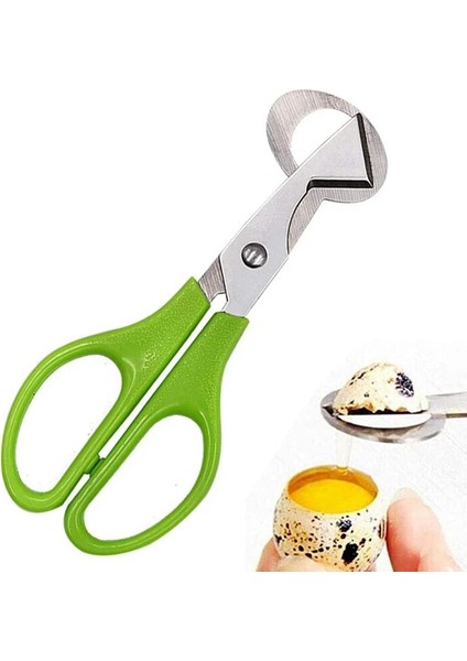 Yeşil Stil 10 Adet Paslanmaz Çelik Bıldırcın Yumurtası Kesici Makas Güvercin Kuş Bıldırcın Yumurtası Kesici Açacağı Kraker Mutfak Makası Aracı (Yurt Dışından) modelleri