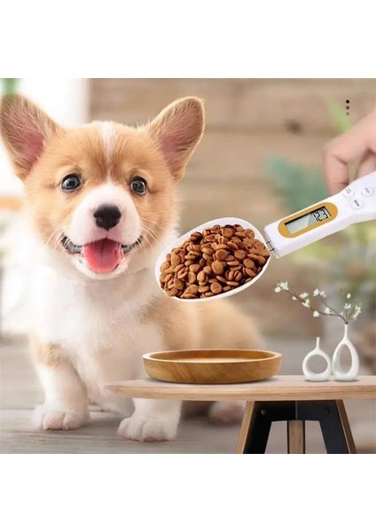 Siyah Stil 0.1g Hassas Dijital Ölçüm Kaşıkları Elektronik Kaşık Ağırlık Hacimli Gıda LCD Ekran Ölçeği Ölçüm Kaşığı Taşınabilir Mutfak Aracı (Yurt Dışından) indirimleri