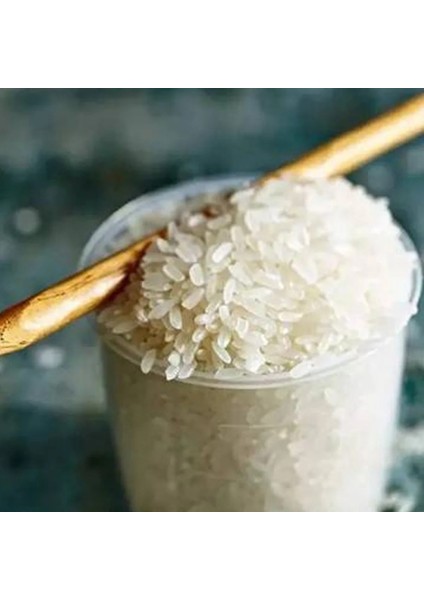 5 Adet Stili Temizle ml Pirinç Ölçme Fincan Temizle Pp Plastik Elektrikli Ocak Pirinç Ocak Yedek Bardak Pirinç Fincan Mutfak Gereçleri (Yurt Dışından)