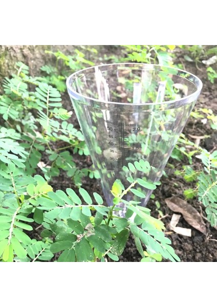 Çoklu Stil 10*21.5cm Saydam Konik Yağmur Ölçer Ölçer Plastik Şeffaf Ölçme Fincan Açık Bahçe Için Rainmeter (Yurt Dışından) fırsatları