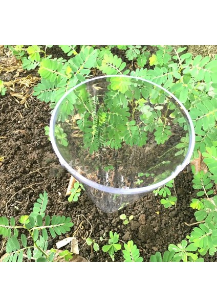 Çoklu Stil 10*21.5cm Saydam Konik Yağmur Ölçer Ölçer Plastik Şeffaf Ölçme Fincan Açık Bahçe Için Rainmeter (Yurt Dışından) indirimleri