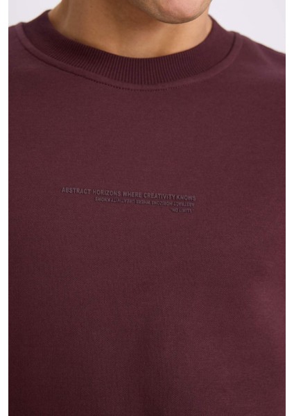 Boxy Fit Bisiklet Yaka Baskılı Sweatshirt X8282AZ24AU indirimleri