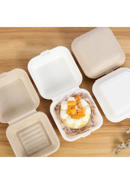 Beyaz-10 Adet Tarzı Adet Tek Kullanımlık Bento Gıda Kapları Pişirme Tatlı Kek Kasesi Paketleme Burger Snack Kutuları Mikrodalgada Ev Yemek Kutusu (Yurt Dışından)