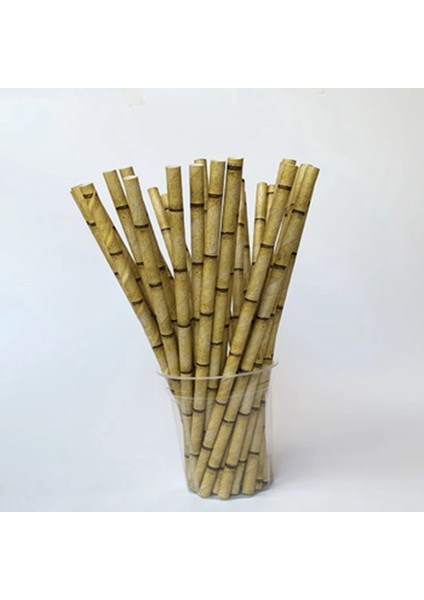 B Tarzı 19CM 100 Adet Kraft Kağıt Tek Kullanımlık Strawers Ev Mutfak Bar Aksesuarları Parti Malzemeleri Bir Kez Yaratıcı Kağıt Bambu Desen Payet (Yurt Dışından)