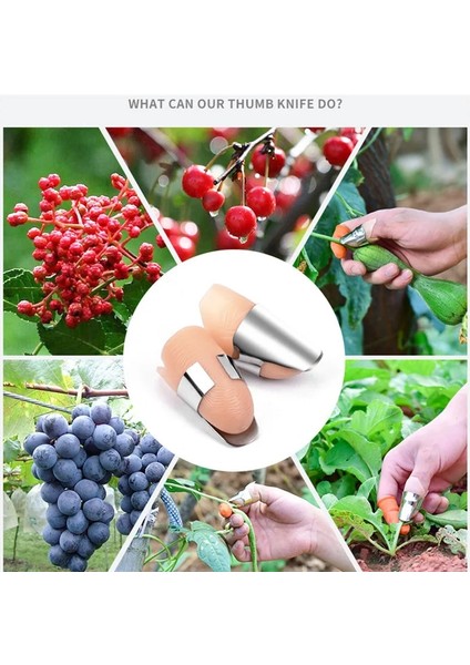 Açık Gri Tarzı Silikon Başparmak Bıçağı Parmak Koruyucu Sebze Hasat Bıçağı Bitki Bıçak Makas Kesme Halkaları Bahçe Eldivenleri (Yurt Dışından) fırsatları