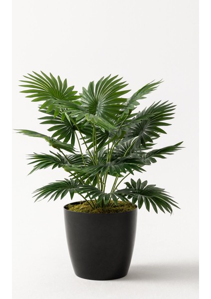 Yapay Çiçek Yelpaze Palmiye 8 Dal 50*35CM Salon Çiçeği Plastik Siyah Saksılı Yapay Bitki