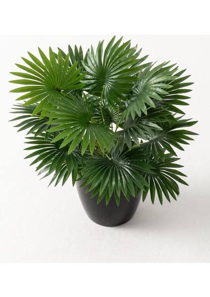 Yapay Çiçek Yelpaze Palmiye 8 Dal 50*35CM Salon Çiçeği Plastik Siyah Saksılı Yapay Bitki