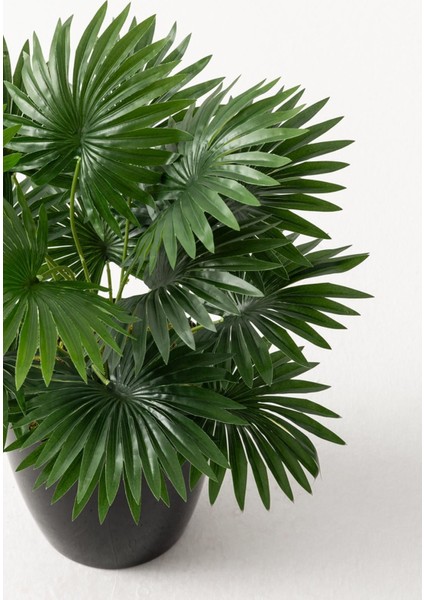 Yapay Çiçek Yelpaze Palmiye 8 Dal 50*35CM Salon Çiçeği Plastik Siyah Saksılı Yapay Bitki
