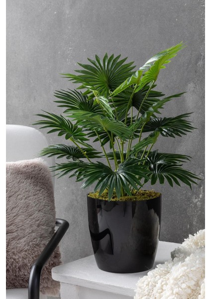 Yapay Çiçek Yelpaze Palmiye 8 Dal 50*35CM Salon Çiçeği Plastik Siyah Saksılı Yapay Bitki