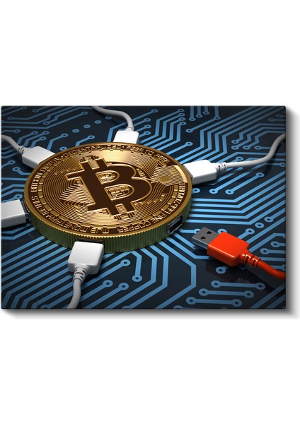 Bitcoin ve USB Teknoloji Bağlantısı Kanvas Tablo