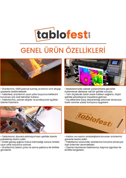 Modern Tasarım Atatürk Portresi Kanvas Tablo