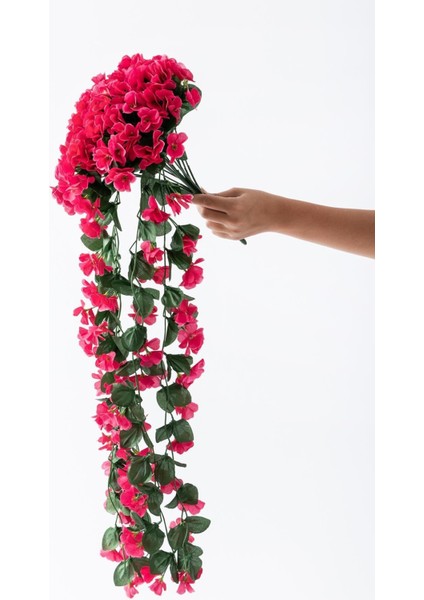 Sarkan Begonvil Çiçeği 75 cm 22 Dal