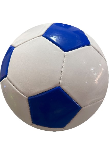 Futbol Topu Çocuk 4 İlkokul Öğrencileri Özel Top 3 Dört Anaokulu 5 (Yurt Dışından)