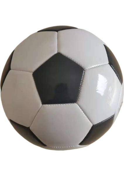 Dünya Kupası Futbol Okul Futbolu Spor Eğitimi Futbol (Yurt Dışından)