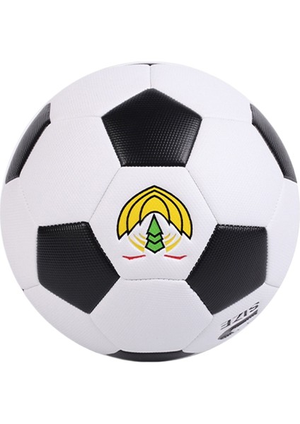 Futbol Topu Çocuk 4 İlkokul Öğrencileri Özel Top 3 Dört Anaokulu 5 (Yurt Dışından)