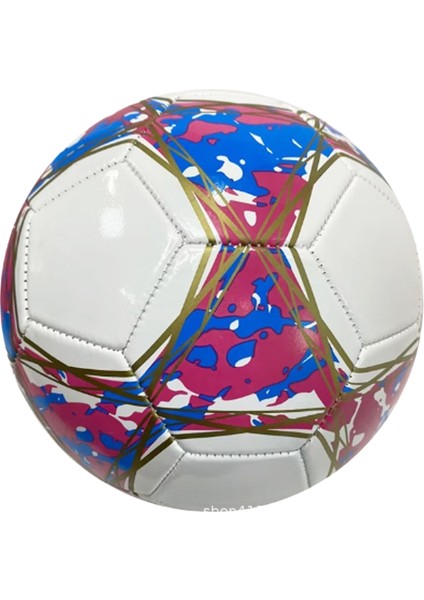 Yetişkin Genç Makine Dikişi Aşınmaya Dayanıklı İlk Ve Ortaokul Öğrencileri Eğitim Oyunları Özel Pvc Futbol 5 (Yurt Dışından)