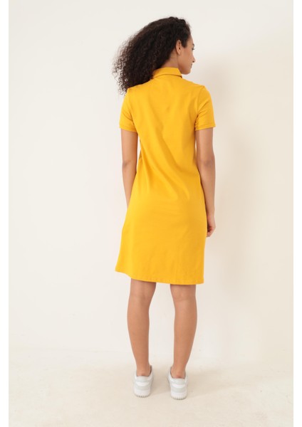 Hardal Kadın Polo Yaka Kısa Kollu Örme Elbise -2431 fiyatları