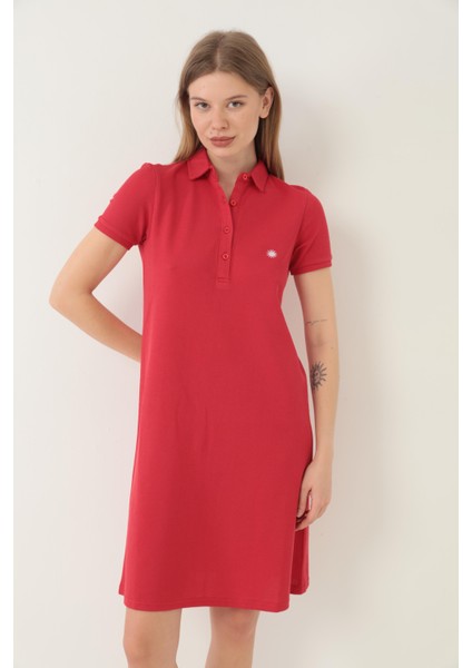 Kırmızı Kadın Polo Yaka Kısa Kollu Örme Elbise -2431