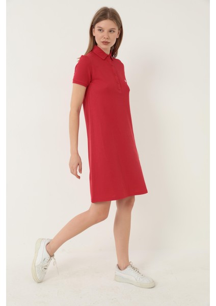 Kırmızı Kadın Polo Yaka Kısa Kollu Örme Elbise -2431 indirimleri