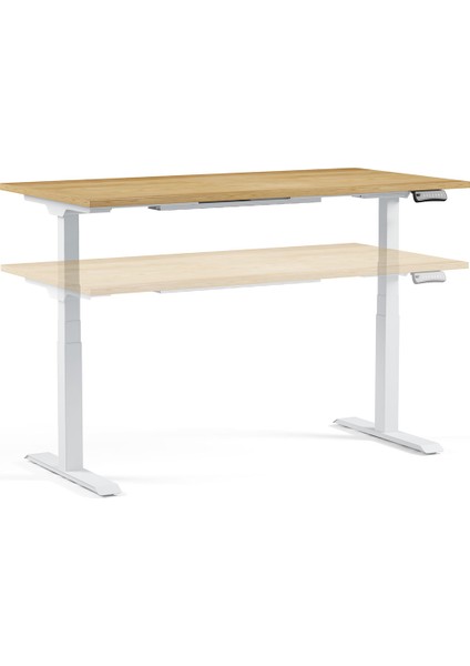 Regula Desk 3P - Elektrikli Yüksekliği Ayarlanabilir Çalışma Masası (Siyah Ayak, Meşe Tabla - 120x60)