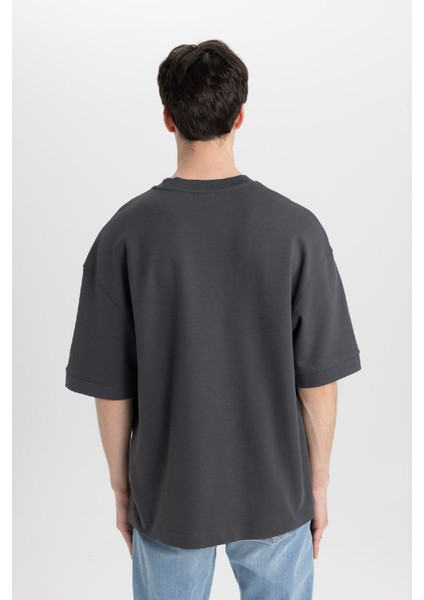 Loose Fit Bisiklet Yaka Baskılı Kısa Kollu Ağır Kumaş Tişört C0896AX24SP