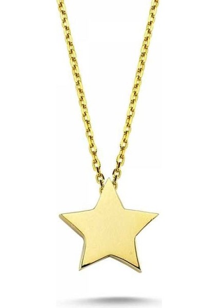 14 Ayar Altın Yıldız Kolye
