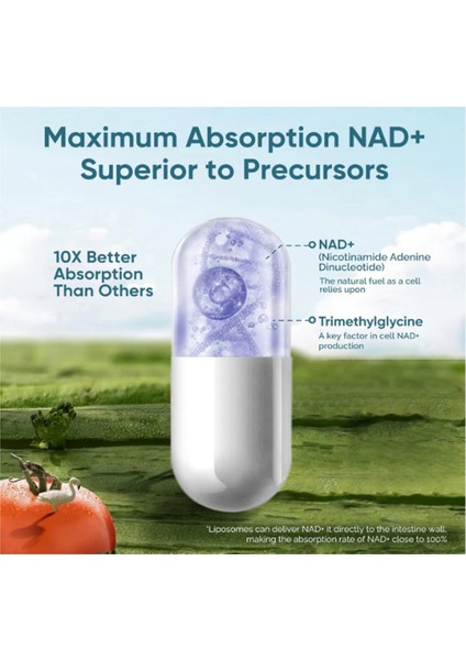 Lab Liposomal Nad Supplement, Highest Nad+ Potency For Anti-Aging, Energy, Focus - 120 Capsul.made In Usa
