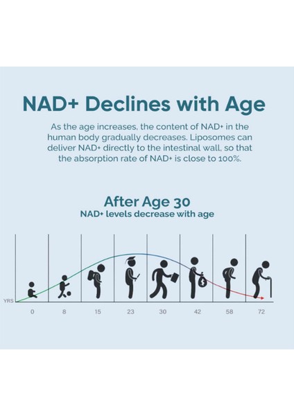 Lab Liposomal Nad Supplement, Highest Nad+ Potency For Anti-Aging, Energy, Focus - 120 Capsul.made In Usa