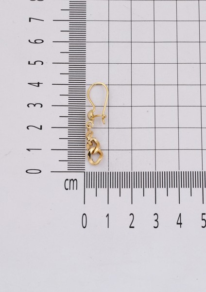 14 Ayar Gurmet Zincir Sallantılı Altın Küpe