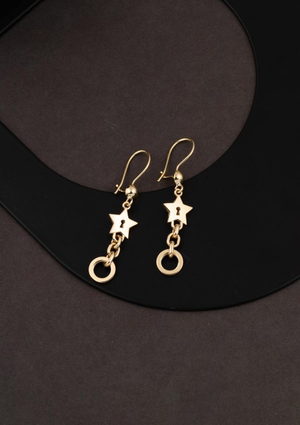 Yıldızlı Halkalı Sallantılı Küpe 14 Ayar fiyatları