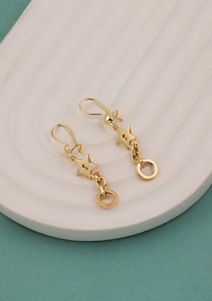 Yıldızlı Halkalı Sallantılı Küpe 14 Ayar modelleri