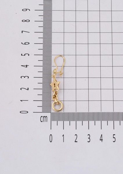 Yıldızlı Halkalı Sallantılı Küpe 14 Ayar indirimleri