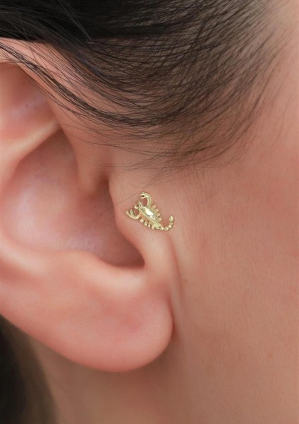 14 Ayar Altın Akrep Tragus Piercing