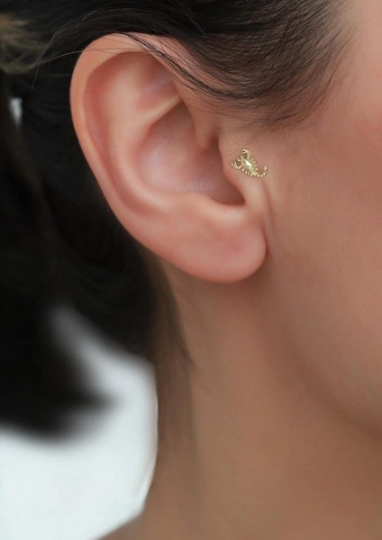 14 Ayar Altın Akrep Tragus Piercing