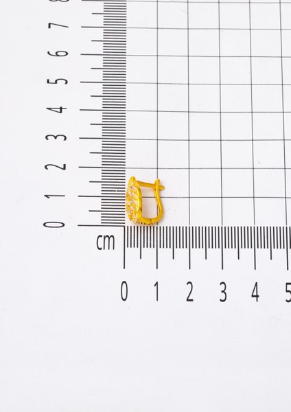 Sarmaşık Model 14 Ayar Altın Küpe