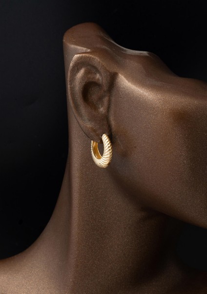 Burgulu Sarı Altın Bayan Halka Küpe fiyatları