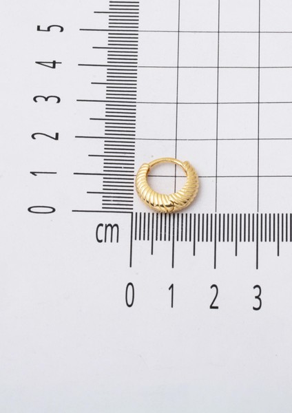 Burgulu Sarı Altın Bayan Halka Küpe indirimleri