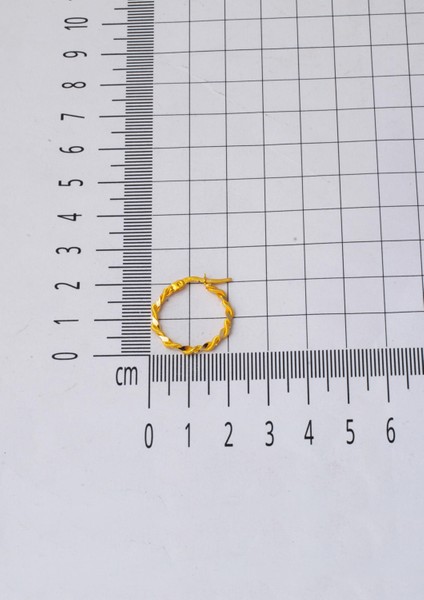 Burma Halka Altın Küpe 14 Ayar 2 Cm. Çaplı fırsatları