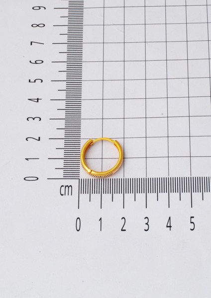 Ajda 22 Ayar Altın Halka Küpe 2 Cm.