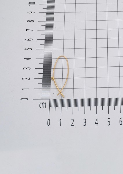 Italyan Model Telli 14 Ayar Altın Küpe