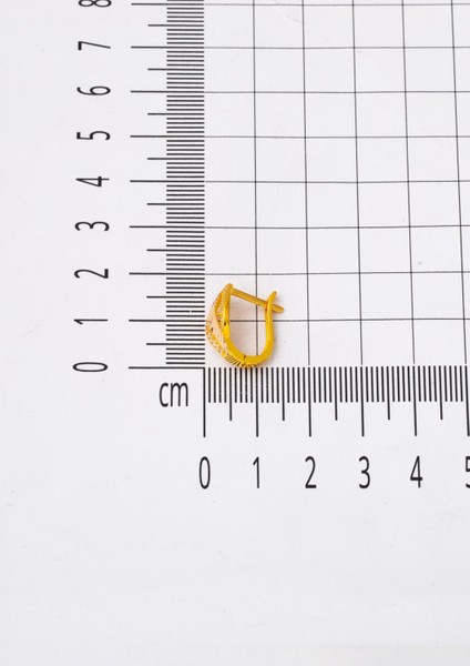 Işıltılı 14 Ayar Kadın Altın Küpe indirimleri
