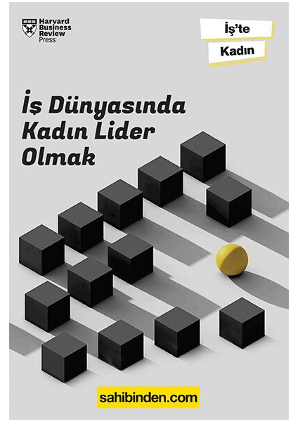 İş Dünyasında Kadın Lider Olmak / Hbr İş’te Kadın / İlham Verici Diyaloglar, Birlikte İlerlemek