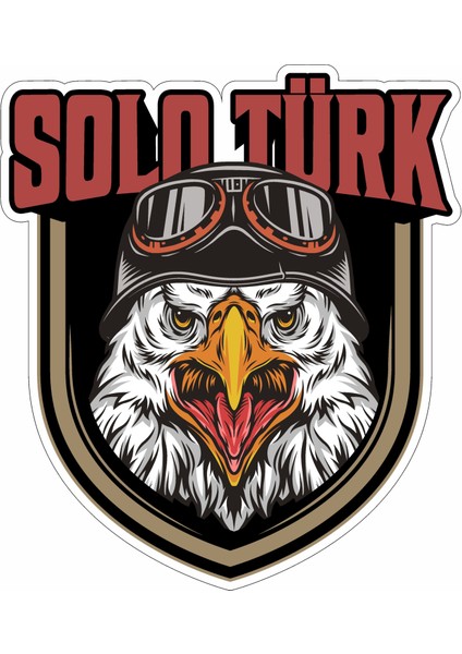 Solo Türk Kartal Sticker Araba Oto Motosiklet Karavan Etiket 02140